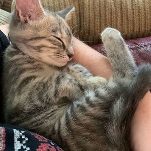 Meet your Posher, Danielle